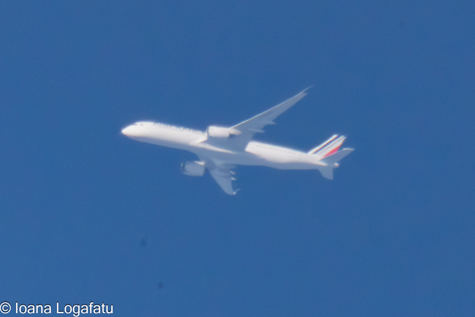 Flight soaring through clear blue skies above